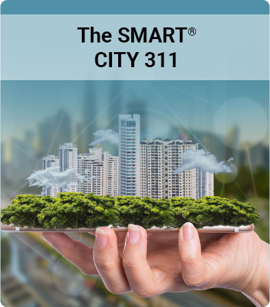 the-smart-city-311